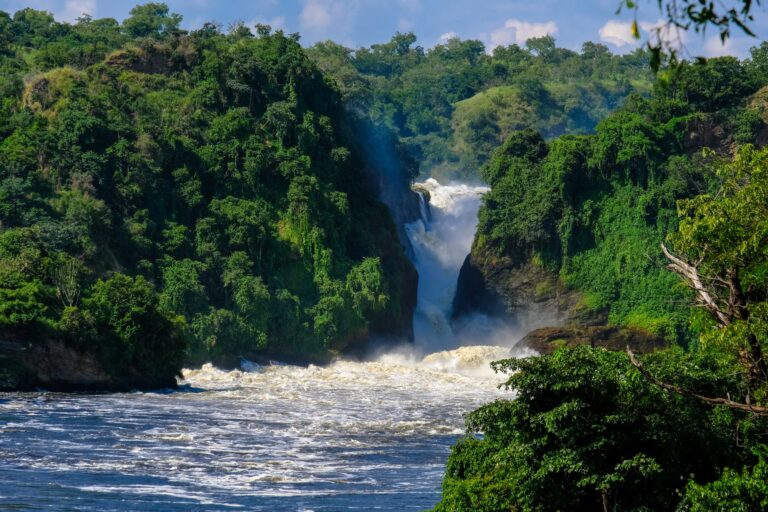 Surinam: el secreto mejor guardado de la selva amazónica